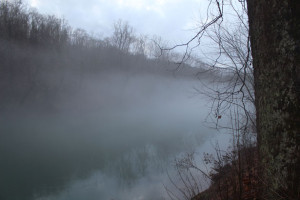 fog-on-a-river