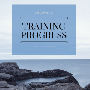 Training Progress: A Worded Life